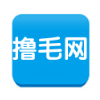撸毛网